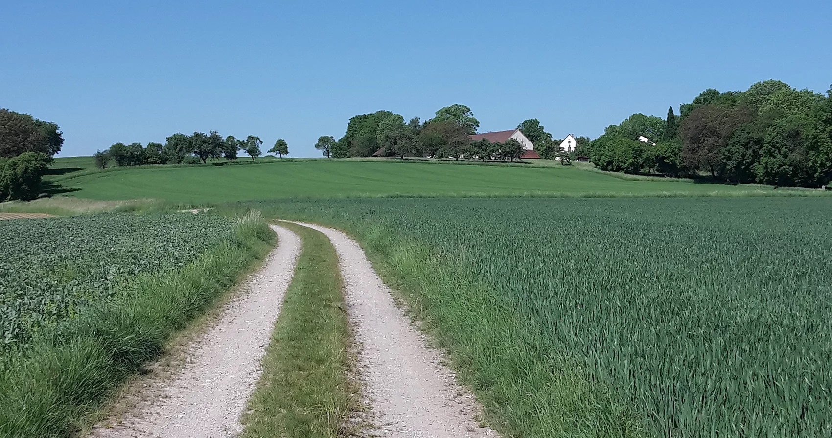 Gagers - Feldweg